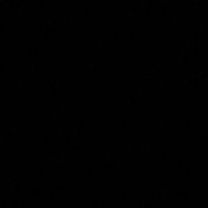 Meet your Posher, Cody